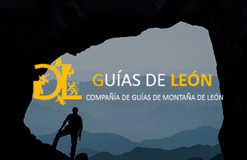 contactar con guías de león